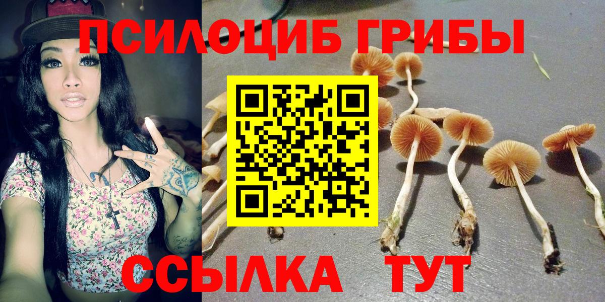 Псилоцибиновые грибы прущие грибы Сухой Лог